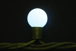 Christmas Land Outdoor Christmas Lights*50 Extendable Outdoor Xp Led Ice-White Berry Christmas Lights