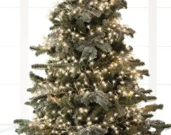 Christmas Land Christmas Tree Lights*1512 Led Twinkle Cluster Christmas Lights Warm White Transparent Cable