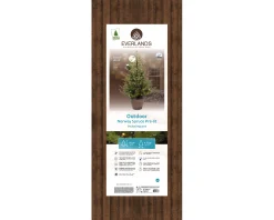 Christmas Land Pre-Lit Christmas Trees*4Ft Potted Luxury Norway Spruce Pre-Lit Mini Artificial Christmas Tree