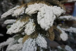 Christmas Land Mini Artificial Christmas Trees (Un-Lit)-2Ft Snowy Alpine Mini Artificial Christmas Tree