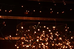 Christmas Land Christmas Tree Lights*Led Warm White Compact Twinkle Christmas Lights